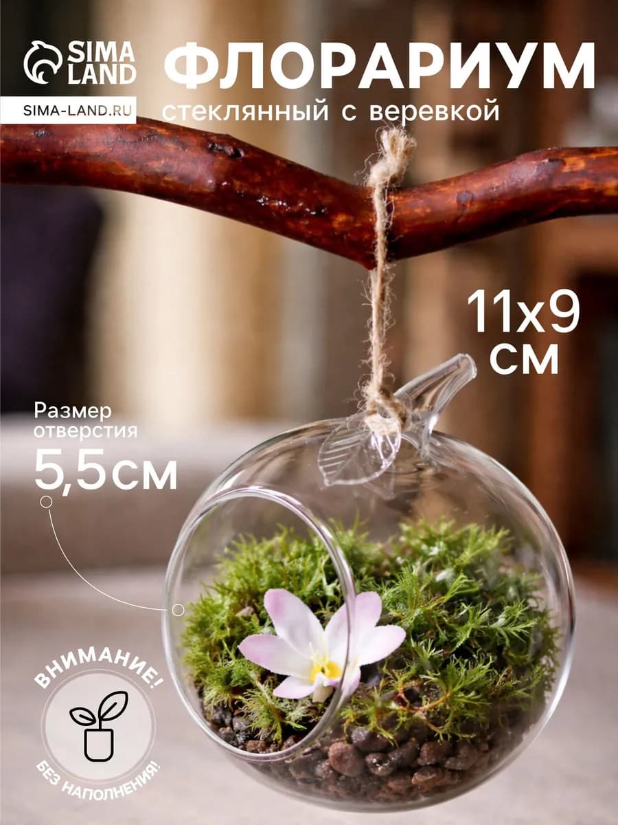 Ваза-флорариум с веревкой "Яблоко" 11х9 см