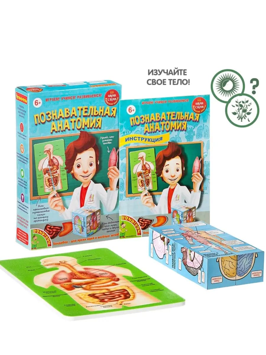 Набор для опытов Познавательная анатомия для детей