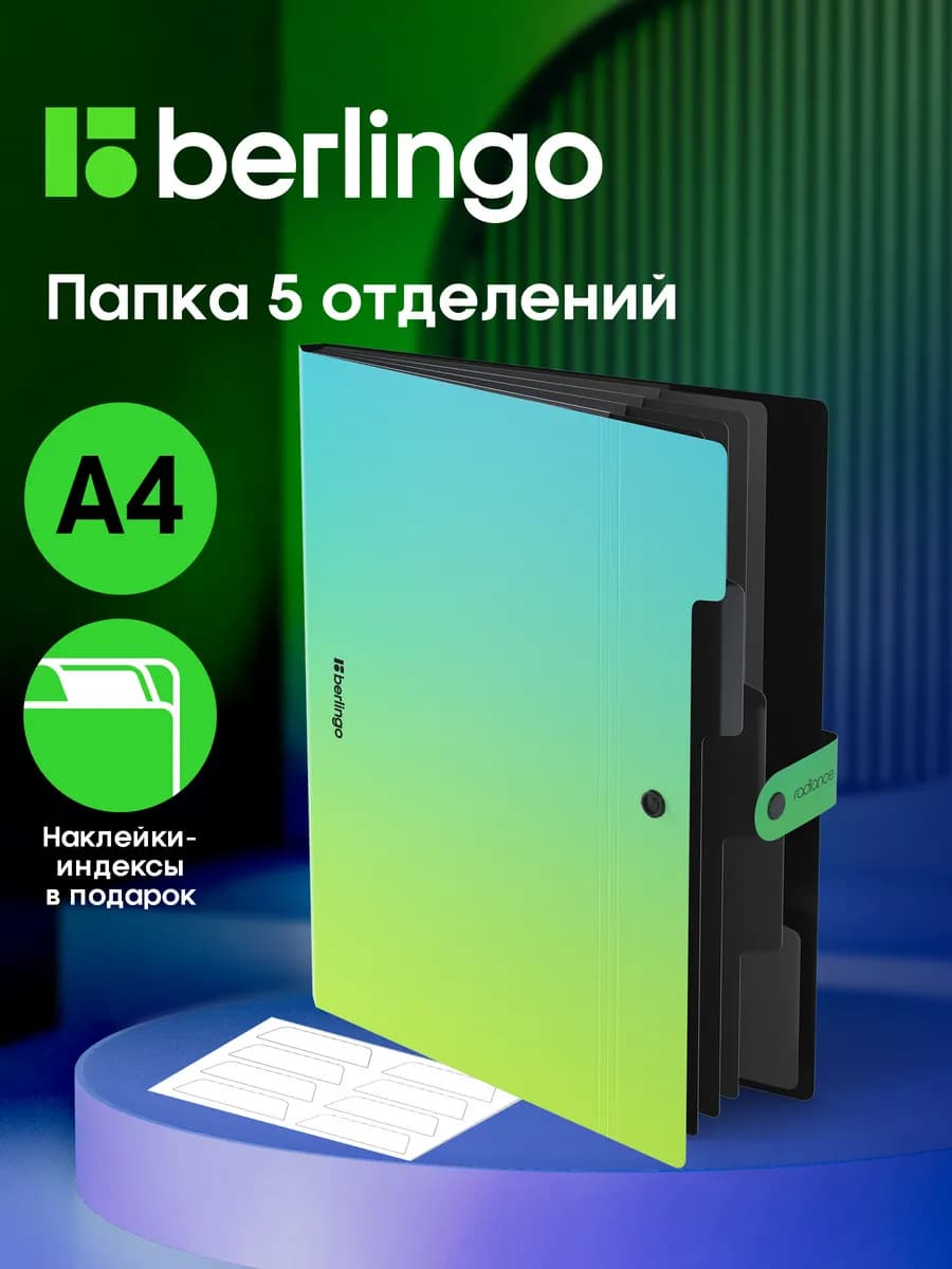 Папка органайзер для документов, А4, семейная