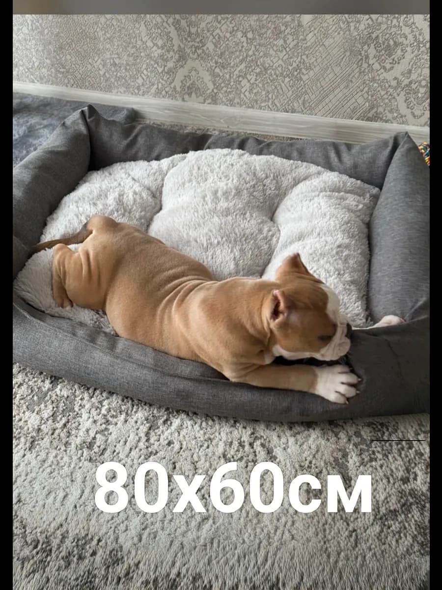 Лежанка для собак и кошек 80x60 см мягкая двухсторонняя