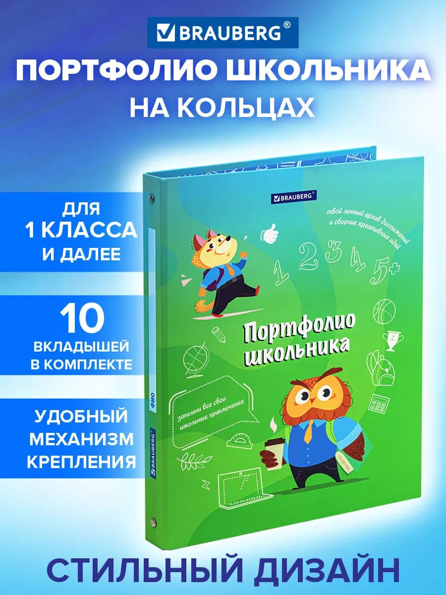 Портфолио школьника папка А4 на кольцах, 20 файлов