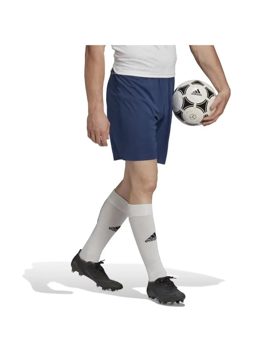 Шорты ENT22 SHO