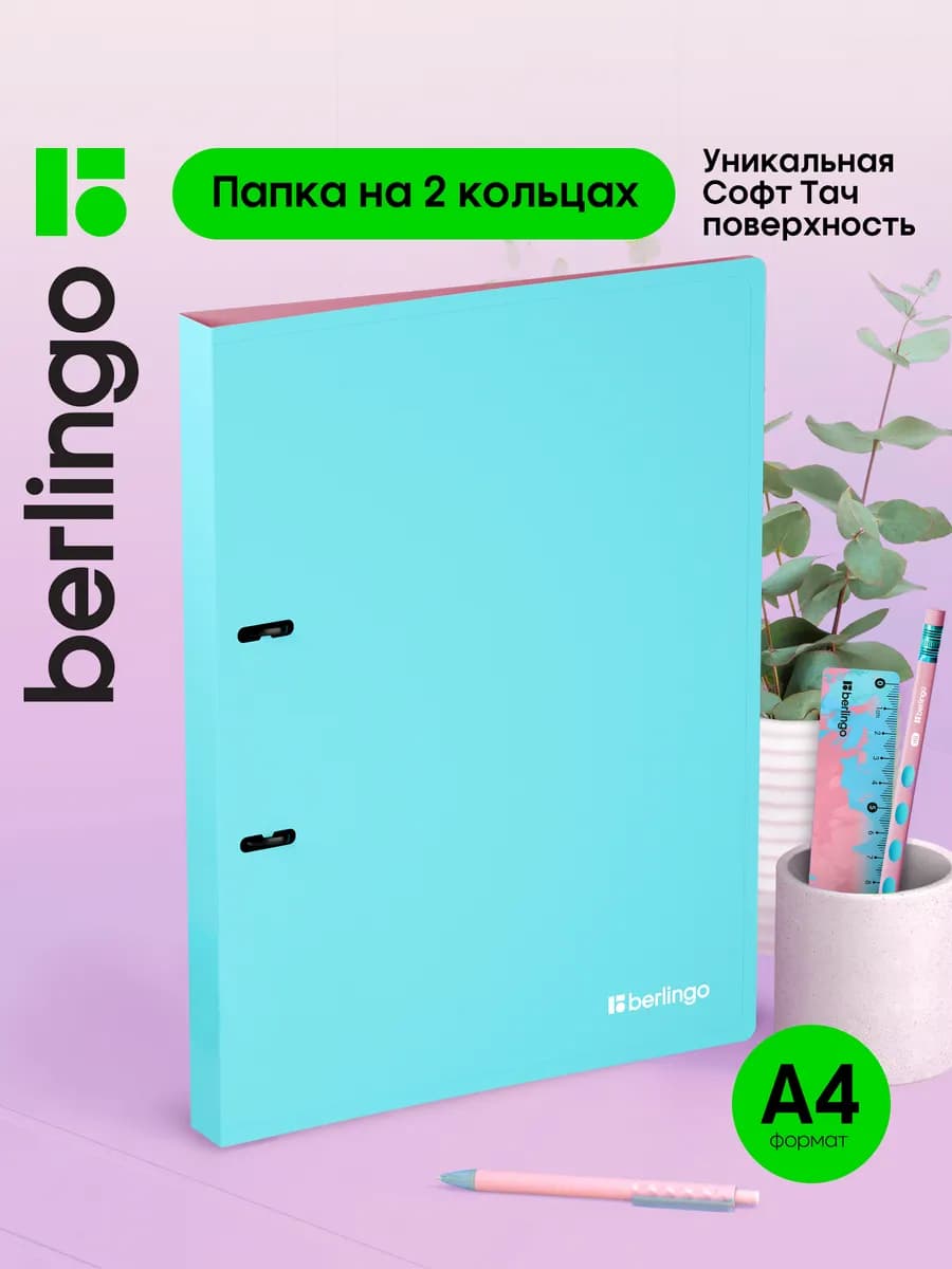 Папка на кольцах для документов и файлов, А4