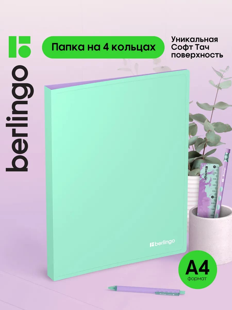 Папка на кольцах для документов и файлов, А4