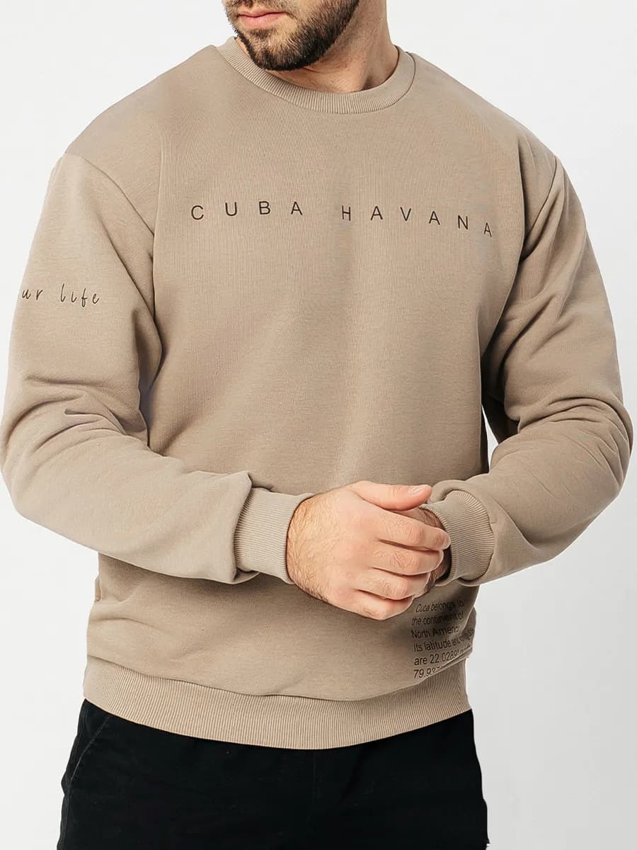 Свитшот мужской с принтом больших размеров в школу