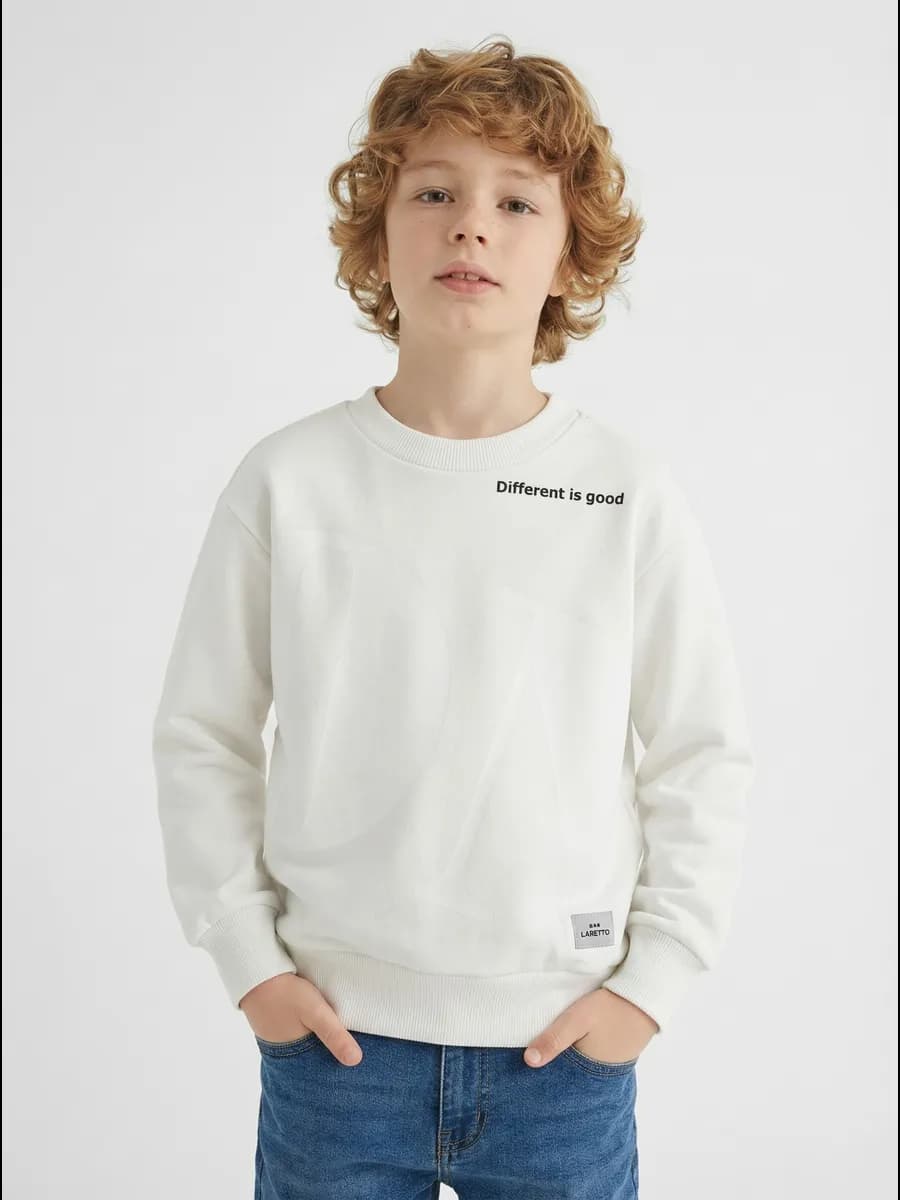 Толстовка свитшот для мальчика спортивный в школу