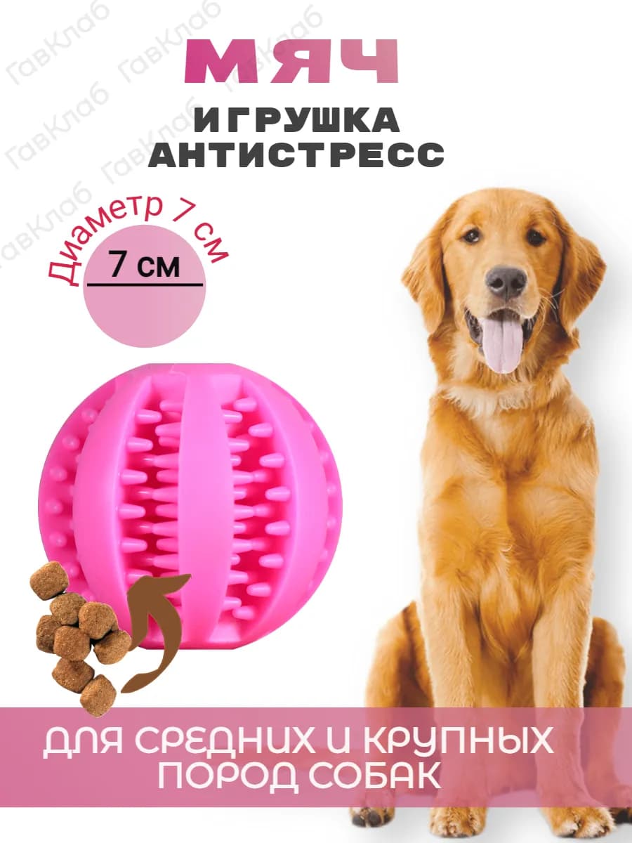 Мяч для собак