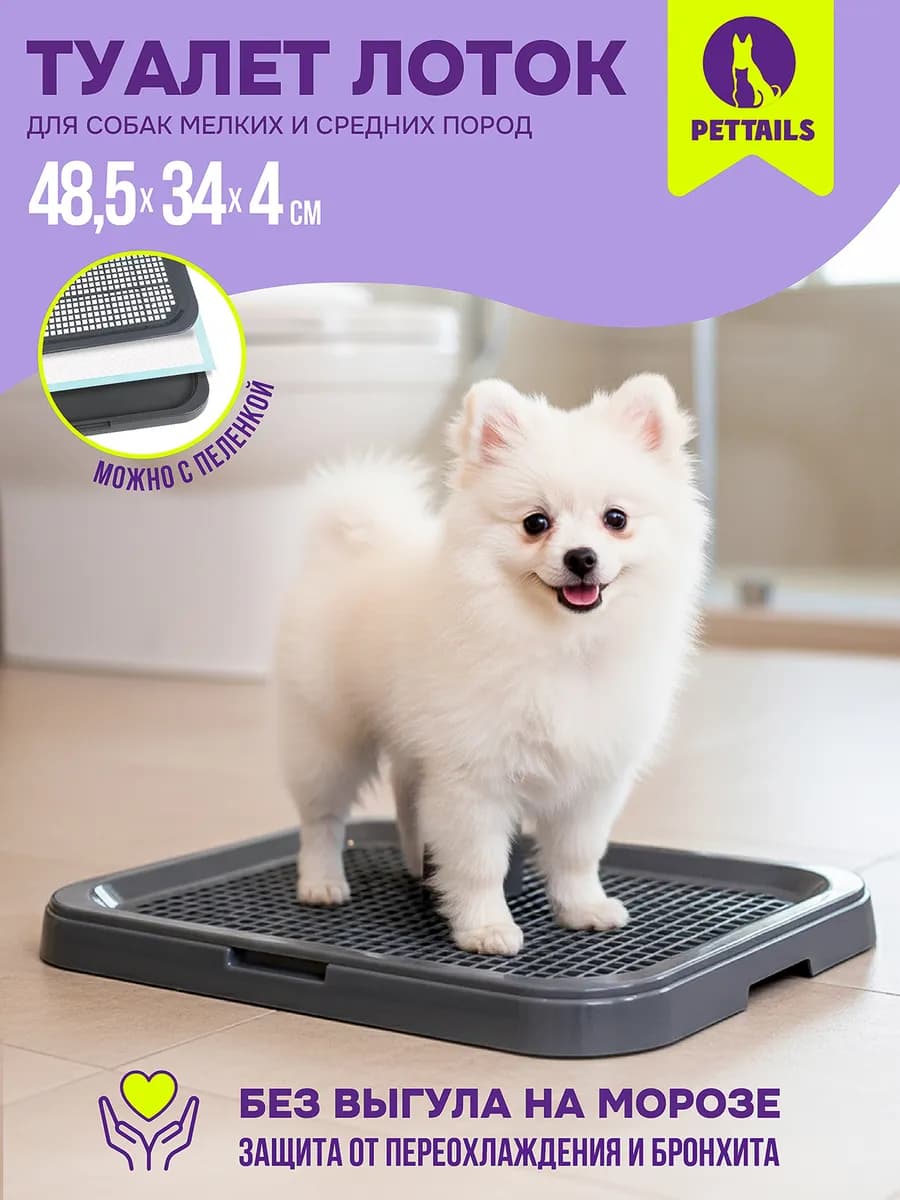 Туалет лоток для собак с сеткой под пеленку 48,5*34*4см