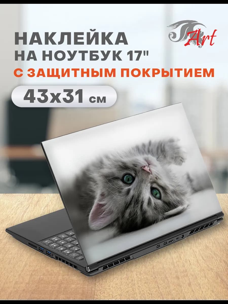Наклейка для ноутбука 17", 43х31 см