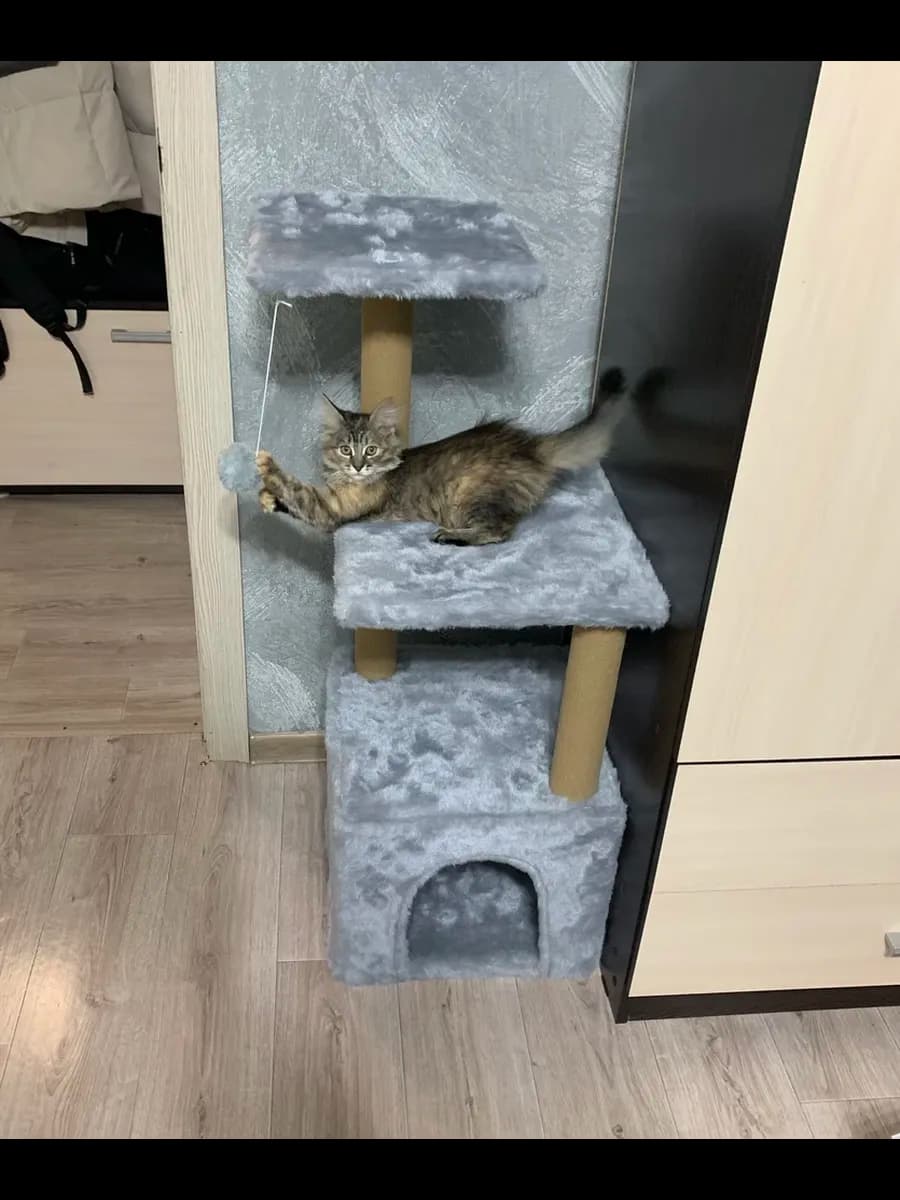 Домик для кошки с когтеточкой 36х36х96 см