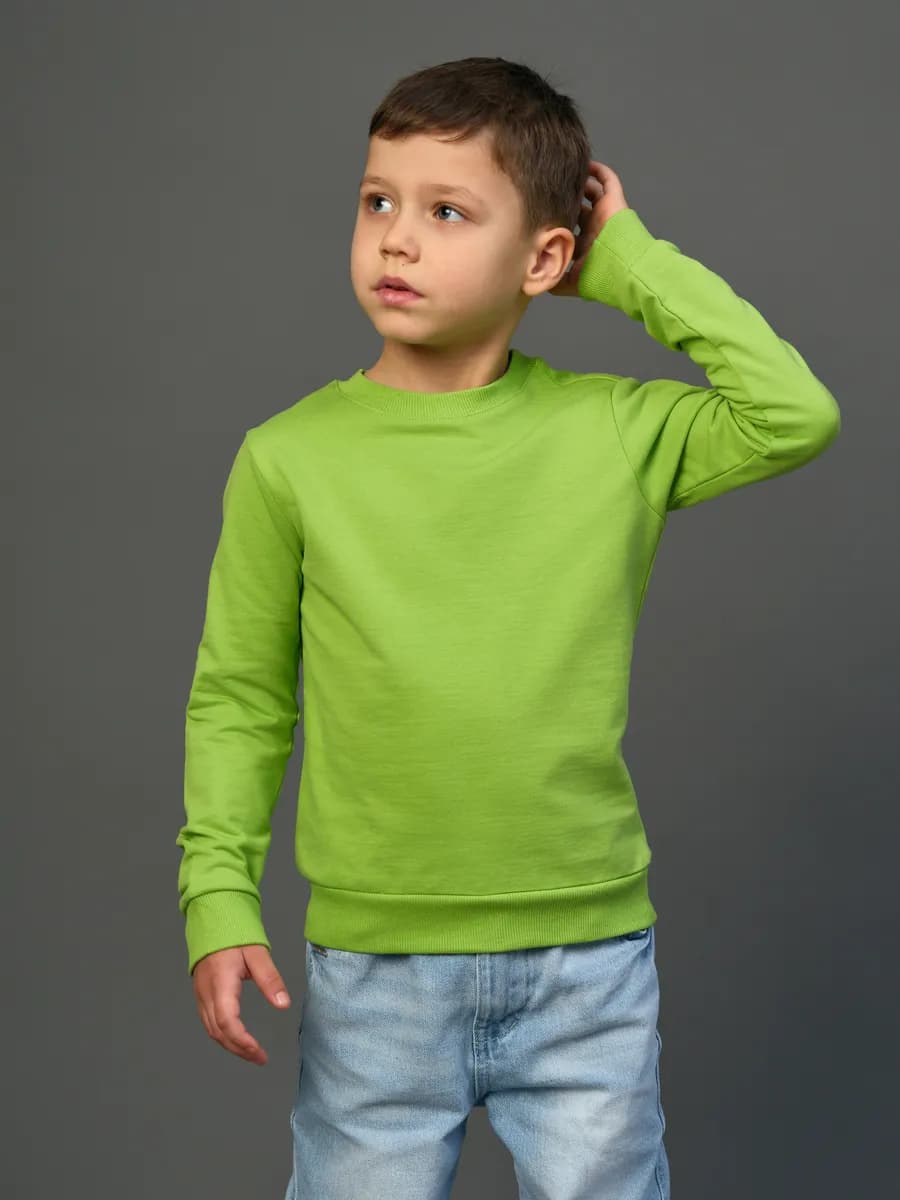 Толстовка свитшот без начеса