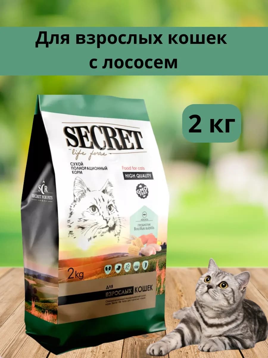 Корм для кошек сухой с лососем 2 кг