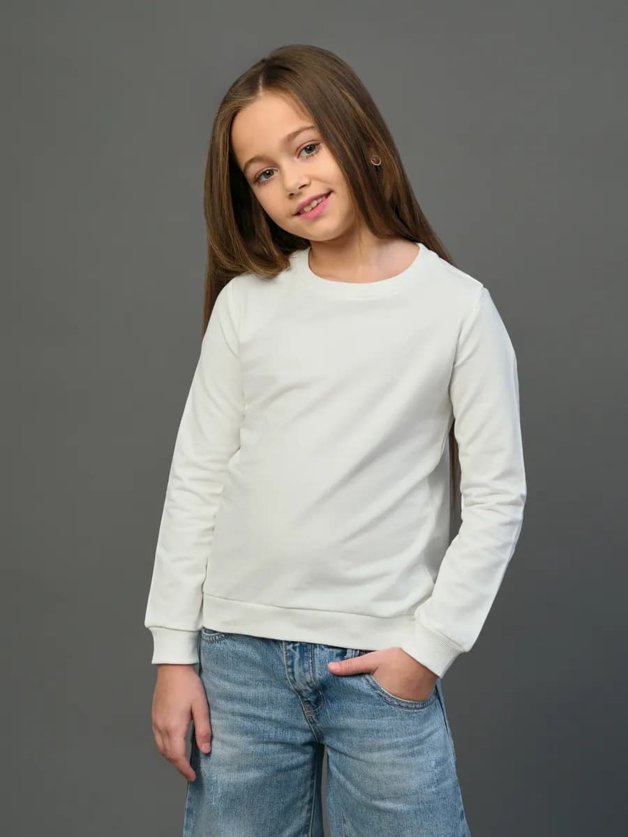 Толстовка свитшот без начеса