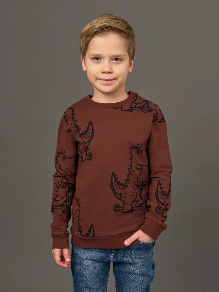 Толстовка свитшот без начеса с принтом