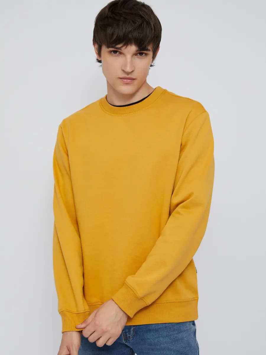 Мужской свитшот прямого кроя с начёсом