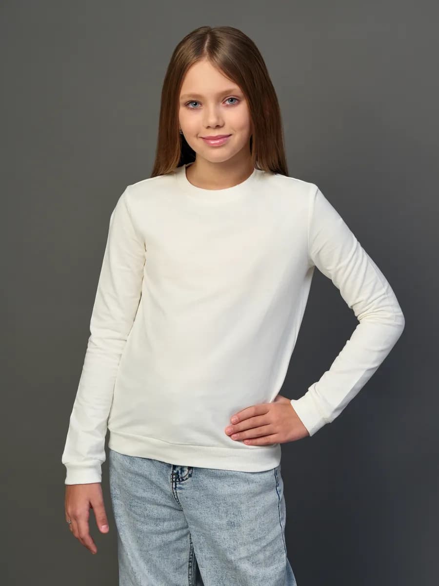 Толстовка свитшот без начеса