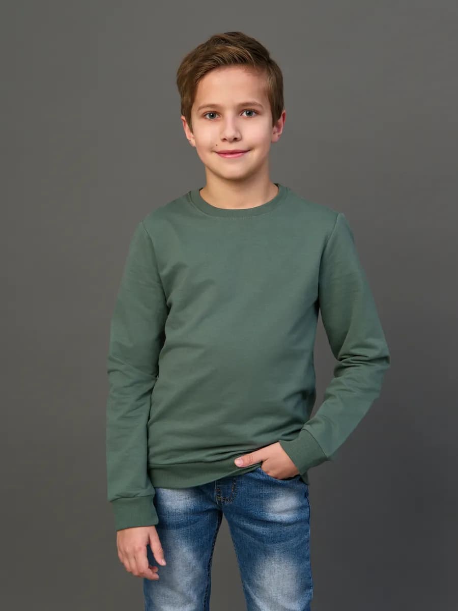 Толстовка свитшот без начеса