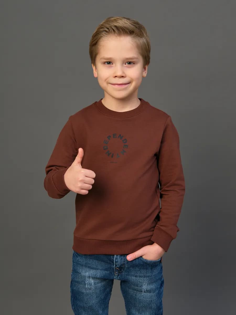 Толстовка свитшот без начеса с принтом