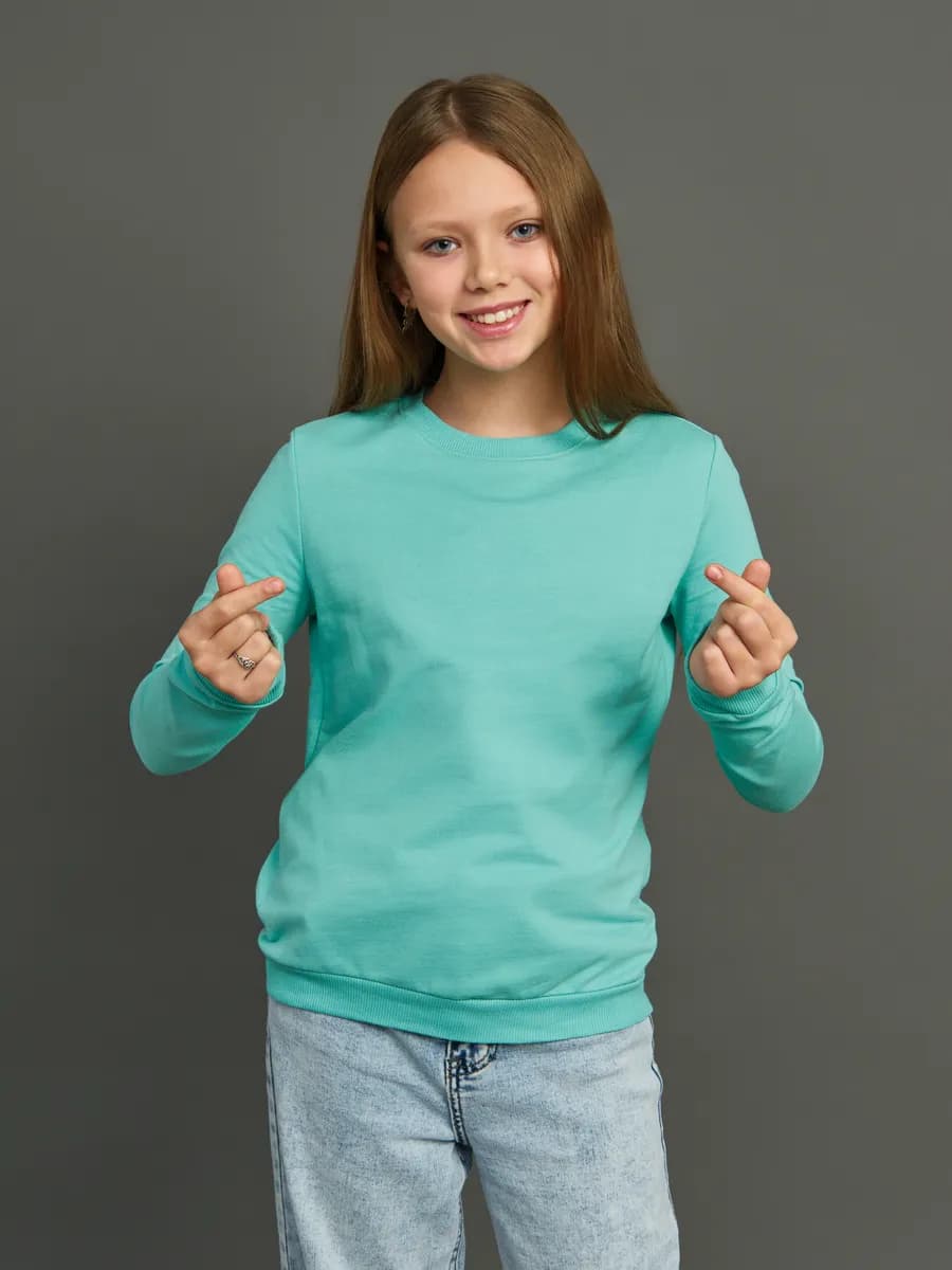 Толстовка свитшот без начеса