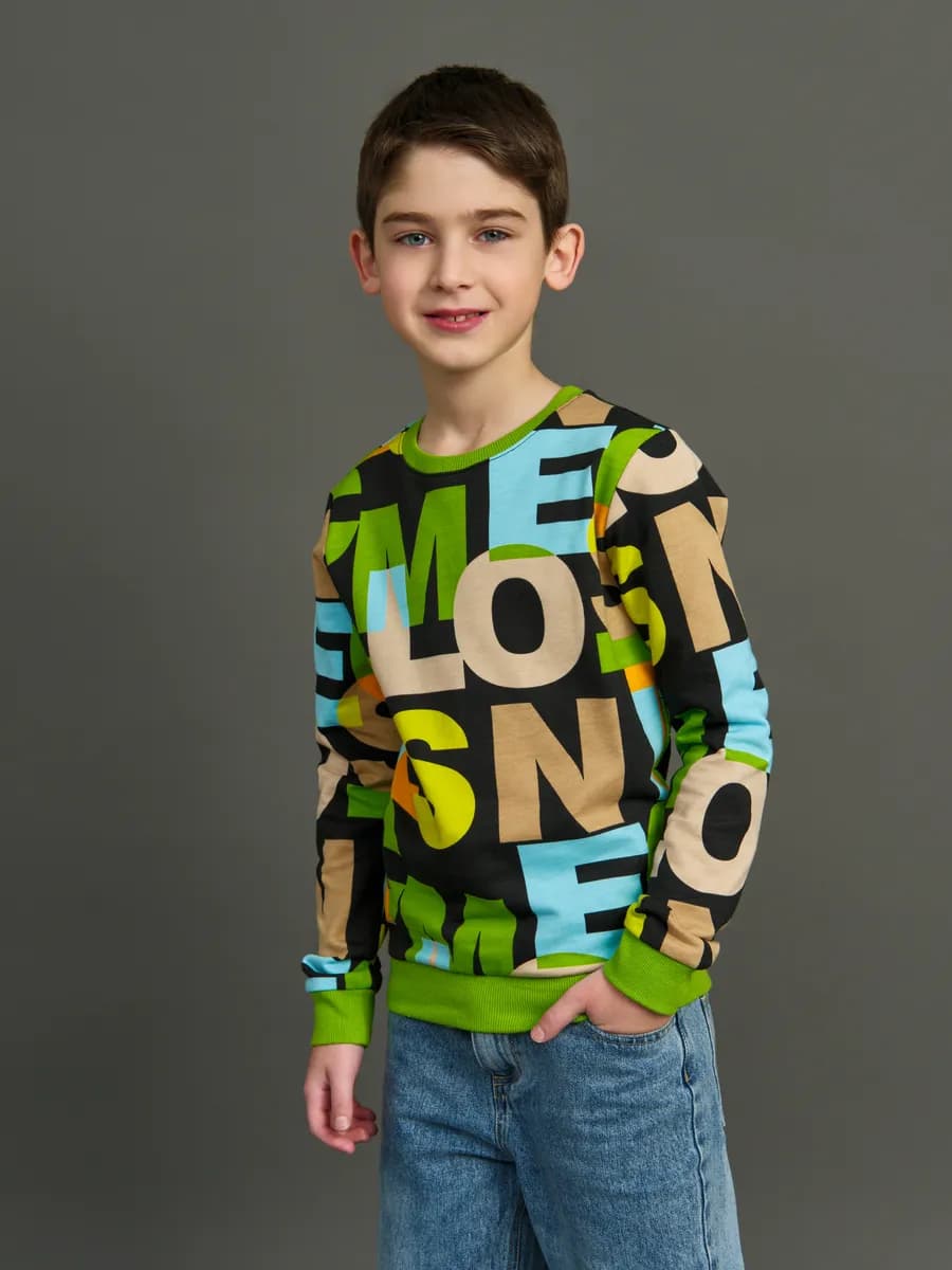 Толстовка свитшот без начеса с принтом