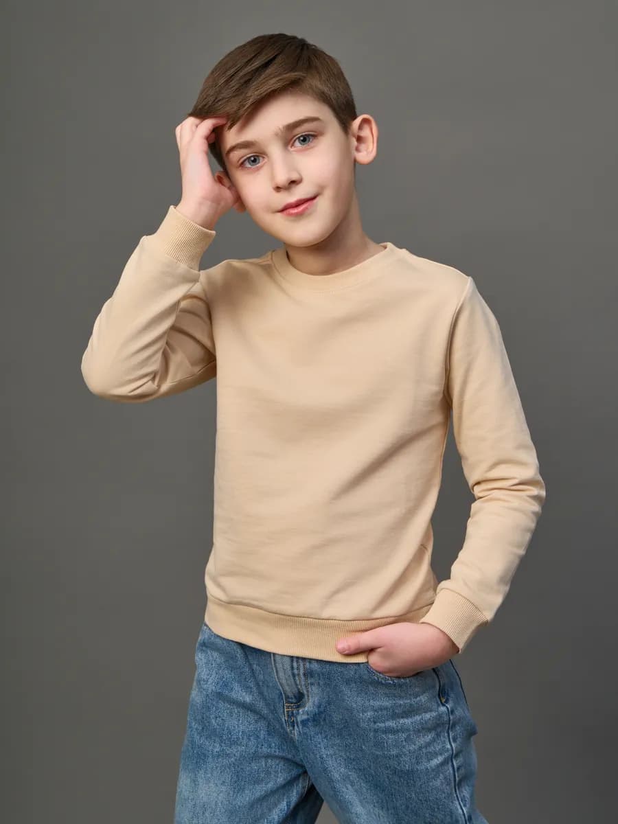 Толстовка свитшот без начеса