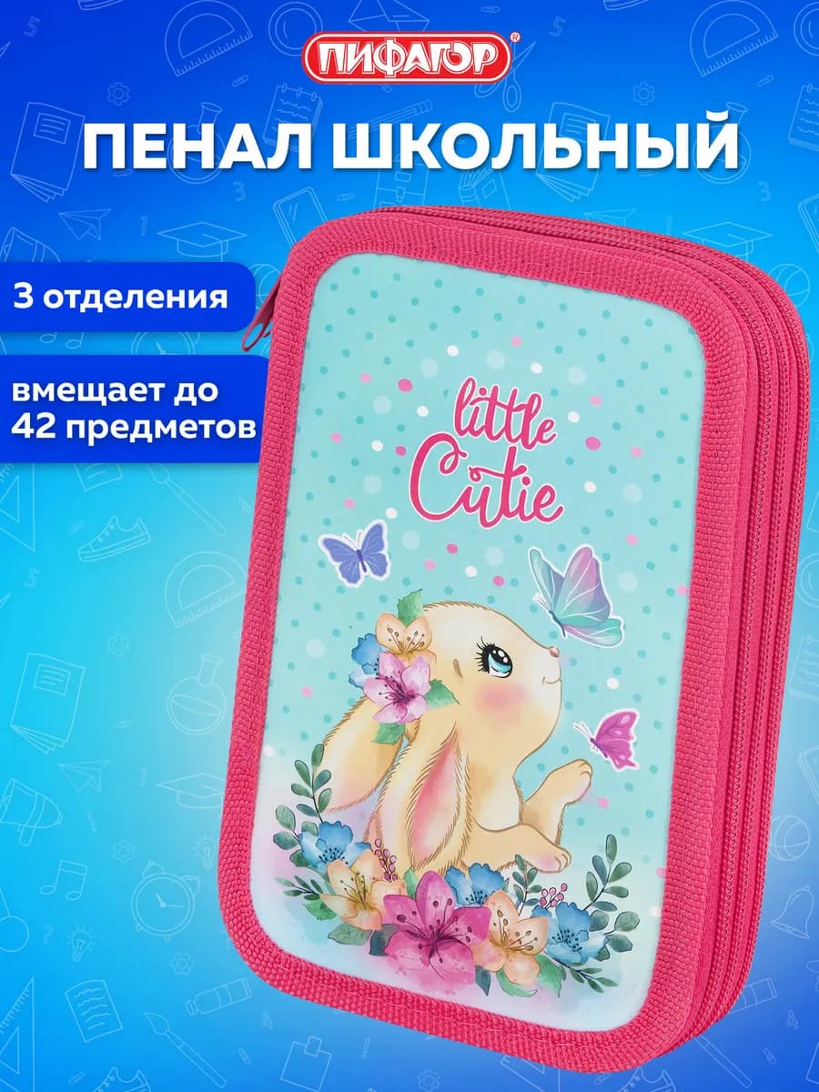 Пенал школьный для девочек для карандашей, ручек 3 отделения