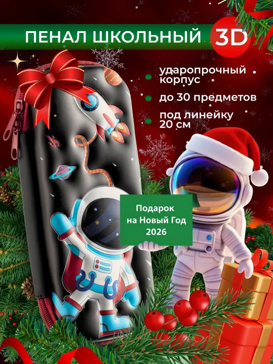 Пенал школьный для мальчика 3D 1 класс