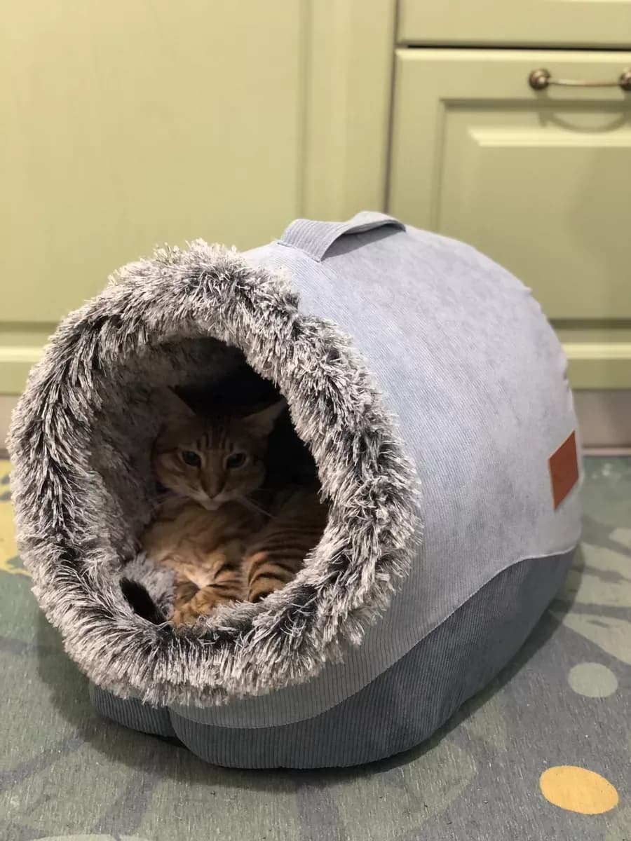 Домик для кошек и собак мелких пород