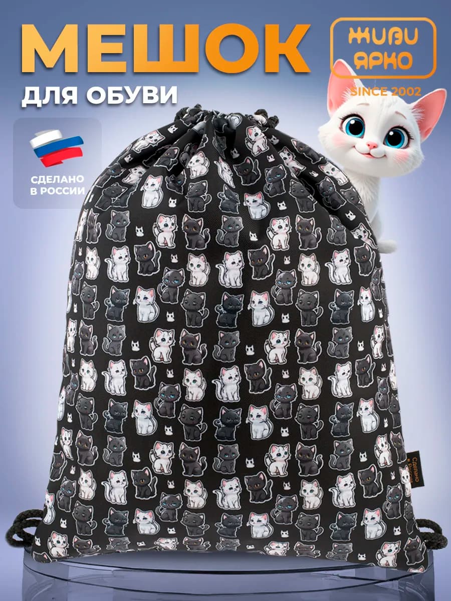 Мешок для обуви сменка школьная котик