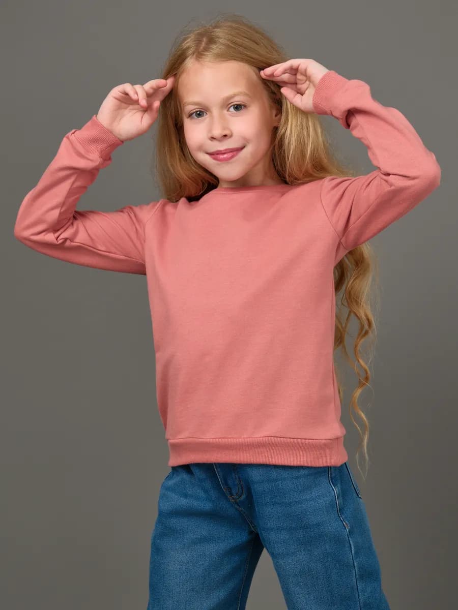 Толстовка свитшот без начеса