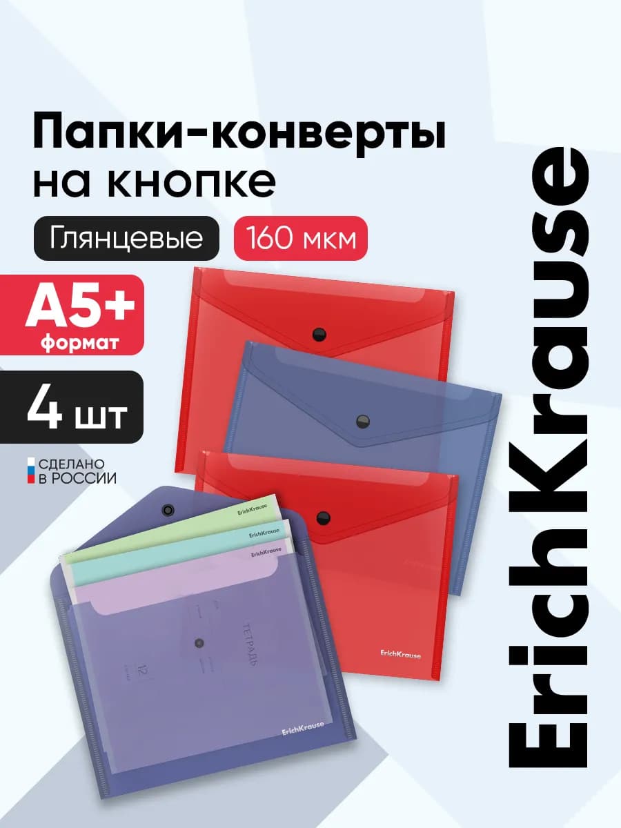 Папка школьная для тетрадей А5 на кнопке, 4 штуки