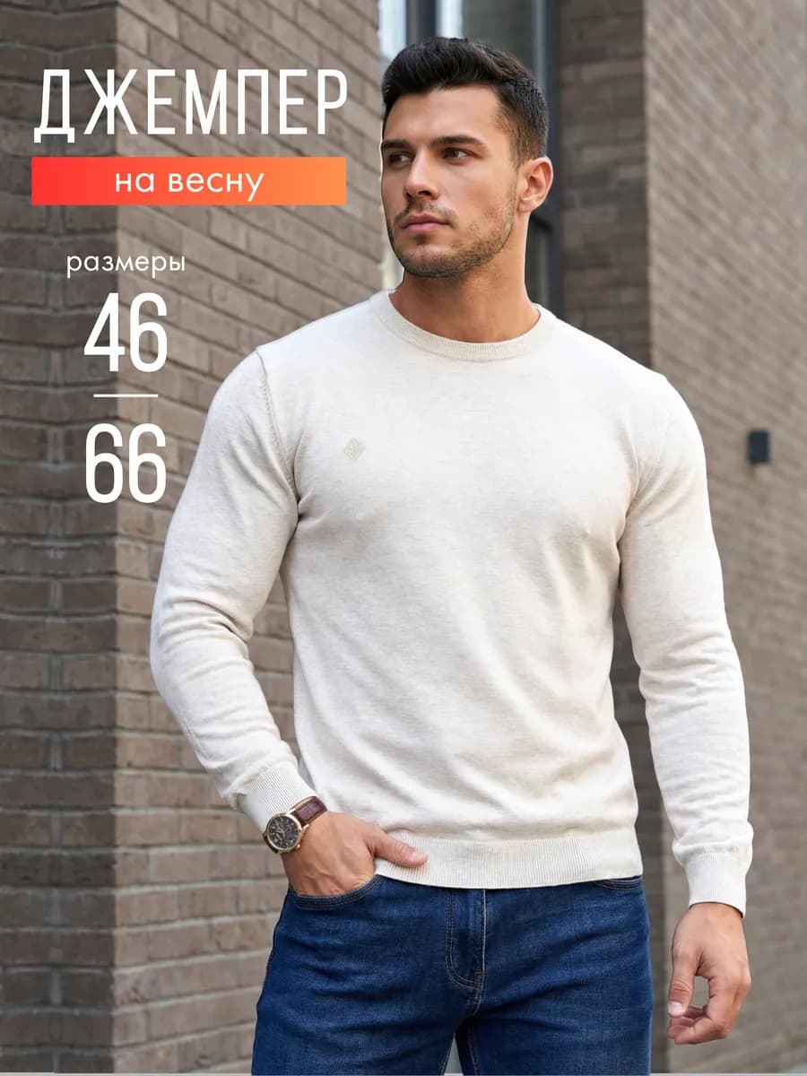 Джемпер мужской на весну