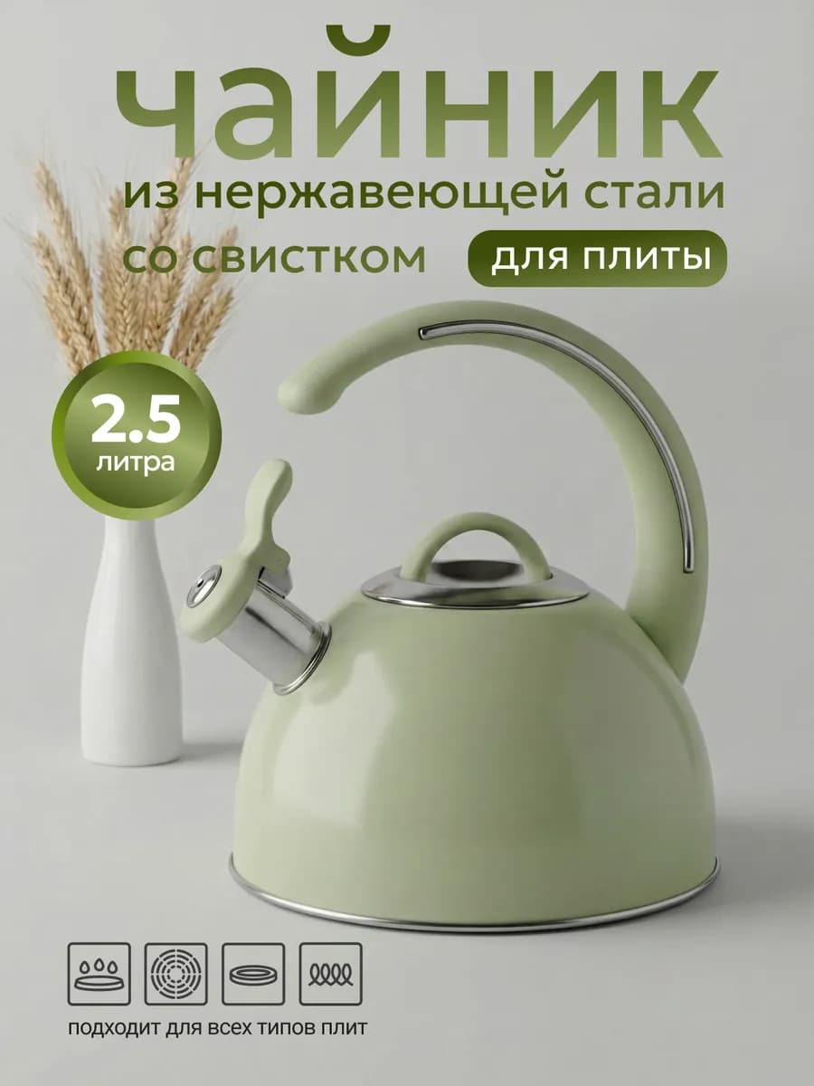 Чайник для плиты со свистком 2 5л