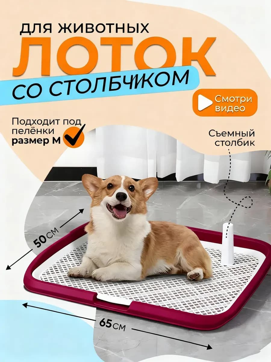 Лоток для собак под пеленку большой