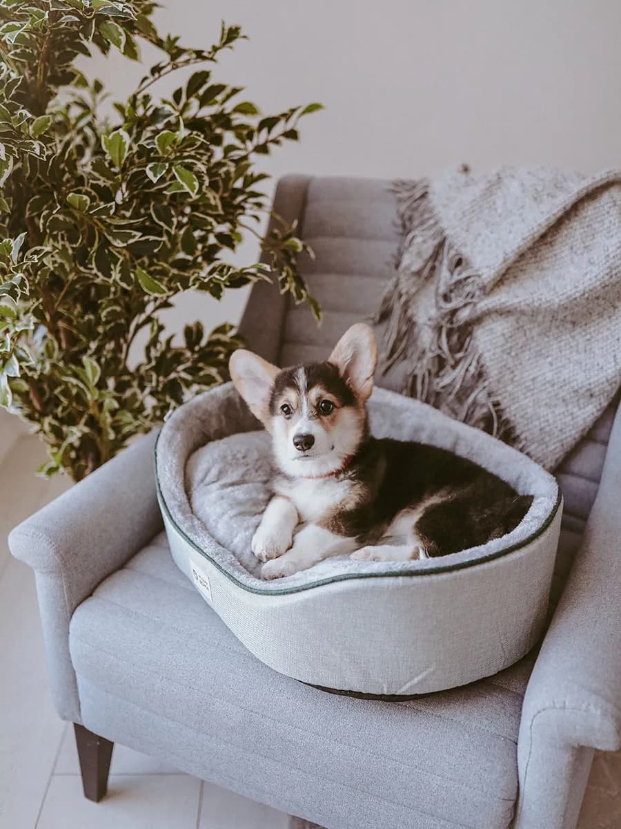 Лежанка для собак мелких и средних пород уютная