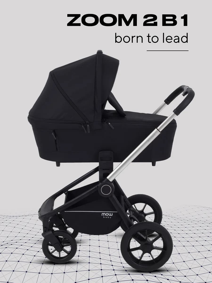 Коляска для новорожденных 2 в 1 Zoom