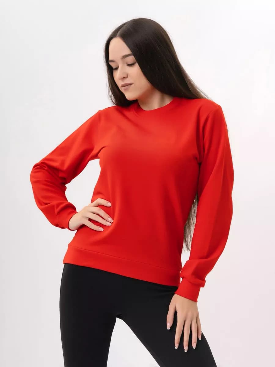 Свитшот худи с тонким начесом без принта