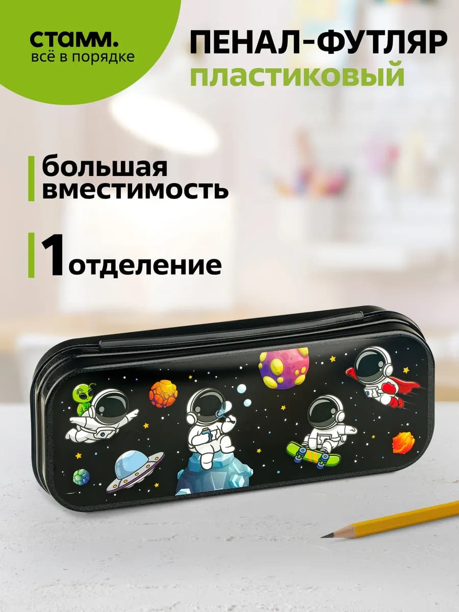 Пенал школьный