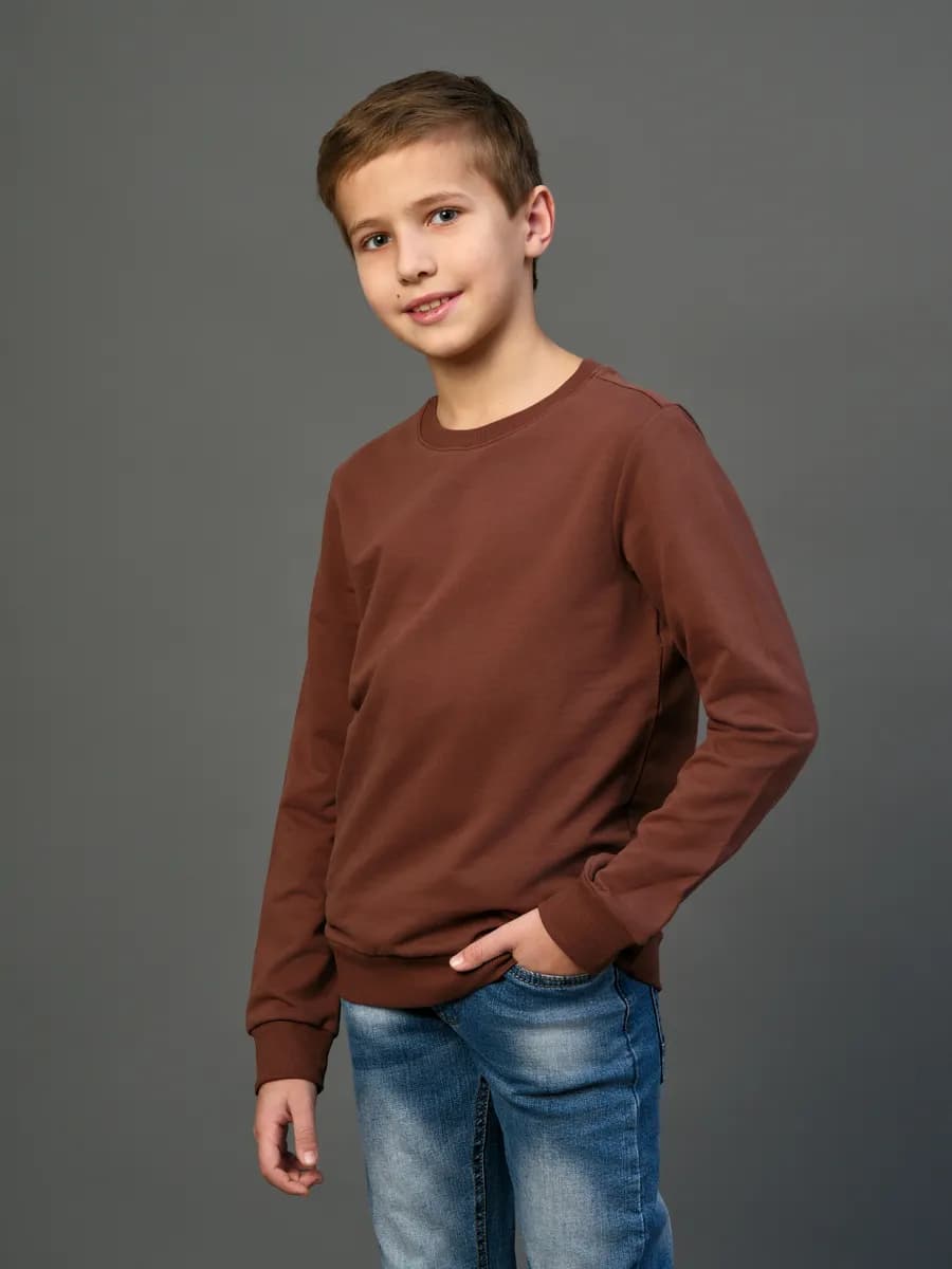 Толстовка свитшот без начеса