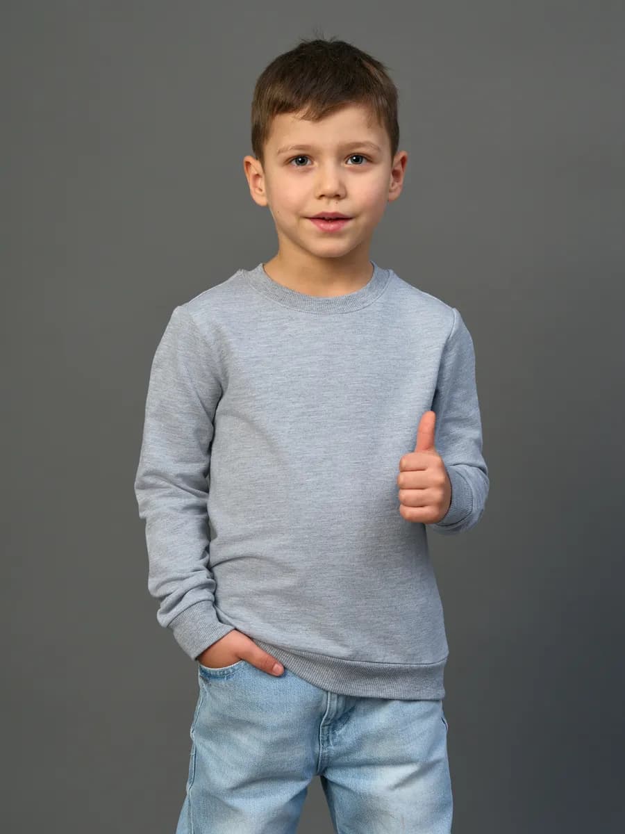 Толстовка свитшот без начеса