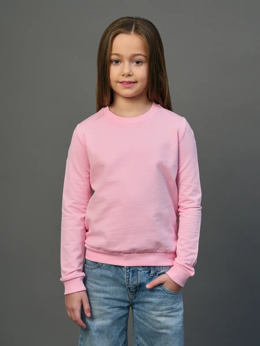 Толстовка свитшот без начеса