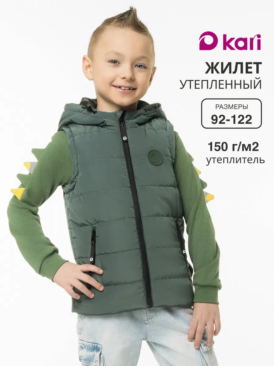 Жилетка для мальчика утепленная с капюшоном