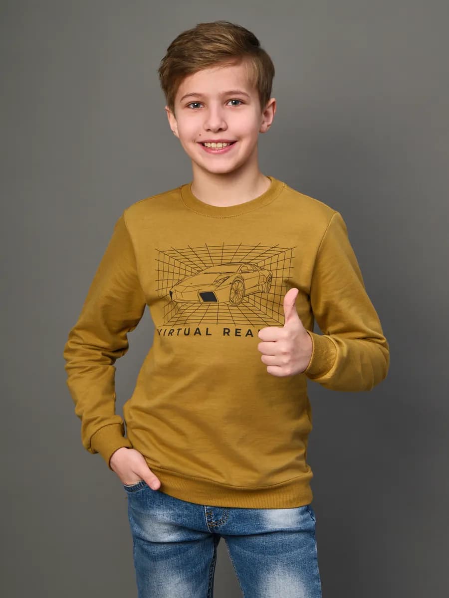 Толстовка свитшот без начеса с принтом