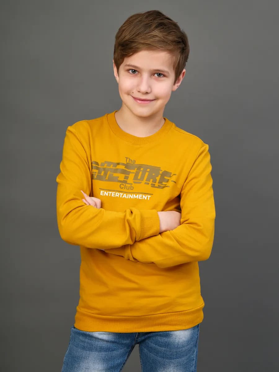 Толстовка свитшот без начеса с принтом