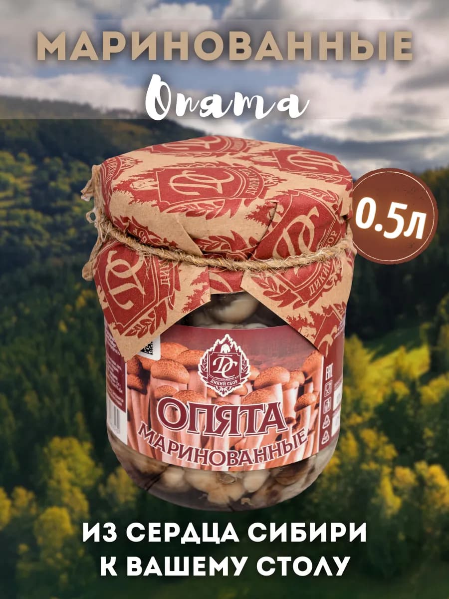 Опята маринованные в банке 0.5л Грибы