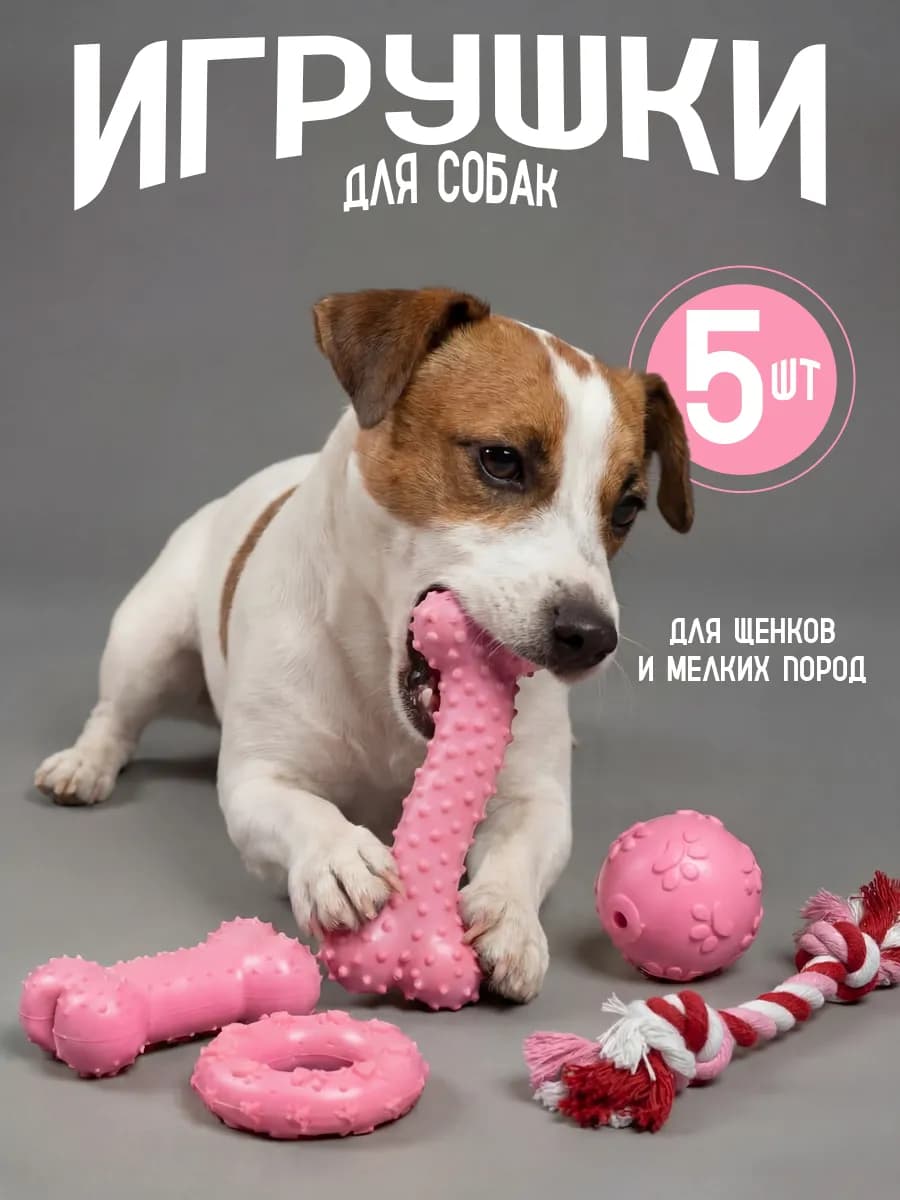 Набор игрушек для щенков и собак мелких и средних пород