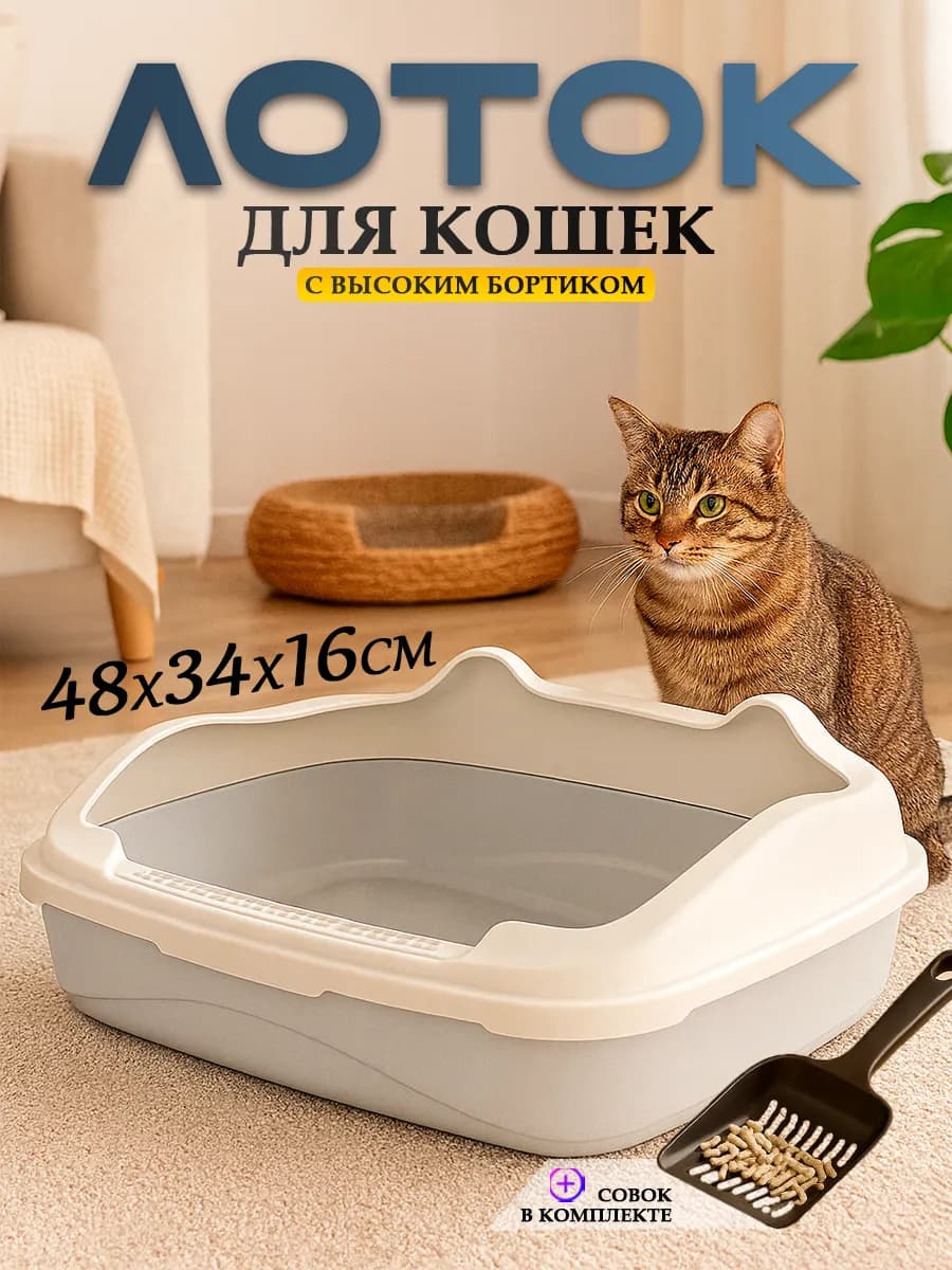 Большой лоток для кошек с высокими бортами
